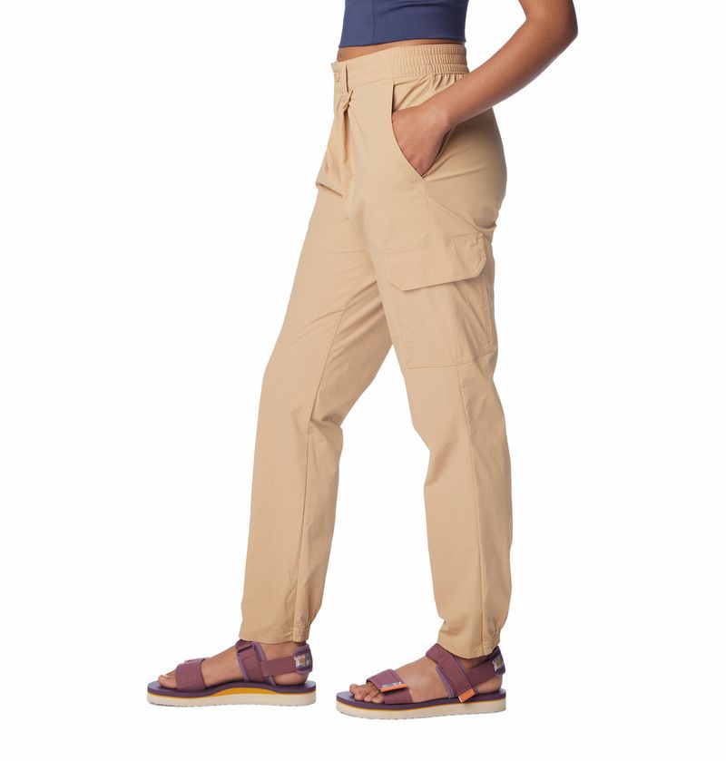 Pantalon-De-Nieve-Mujer-Boundless-Trek-Pleated-Beige-Columbia