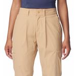 Pantalon-De-Nieve-Mujer-Boundless-Trek-Pleated-Beige-Columbia