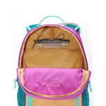 Mochila-Unisex-Echo-Mountain-25L-Morado-Columbia